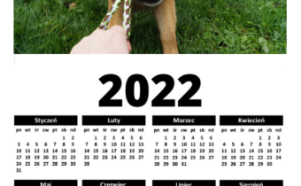 A1 Kalendarz ścienny z psem 2022 - Kalendarze ze zwierzętami