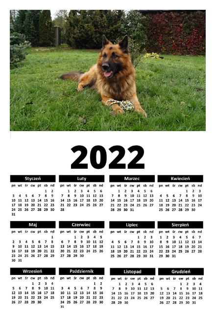 A1 Kalendarz ścienny z psem 2022 - Kalendarze ze zwierzętami